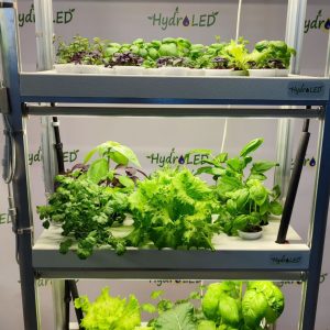 Настольная гидропонная ферма Каскад-3