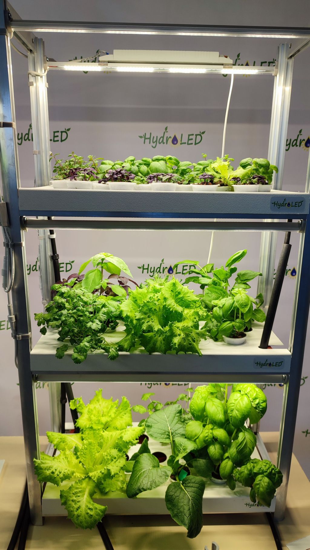 Настольная гидропонная ферма Каскад-3